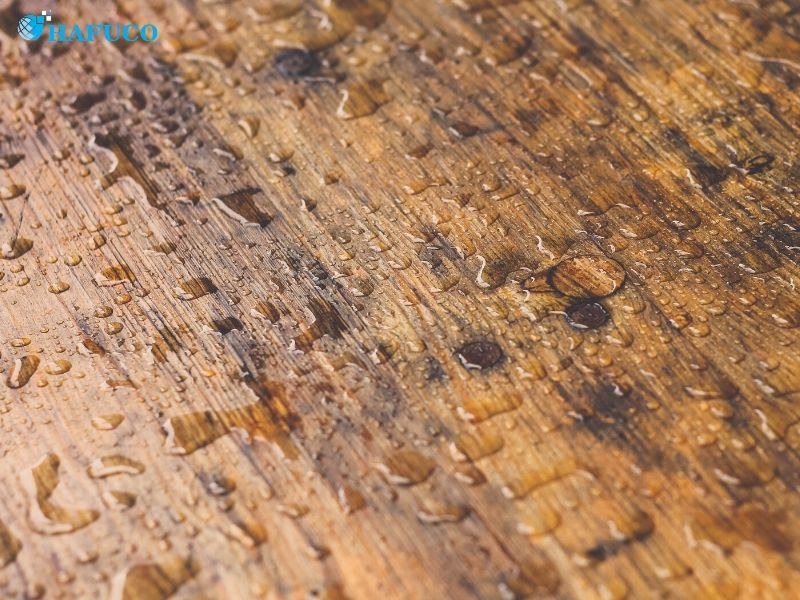 Nguyên nhân dẫn đến tình trạng sàn gỗ bị mốc