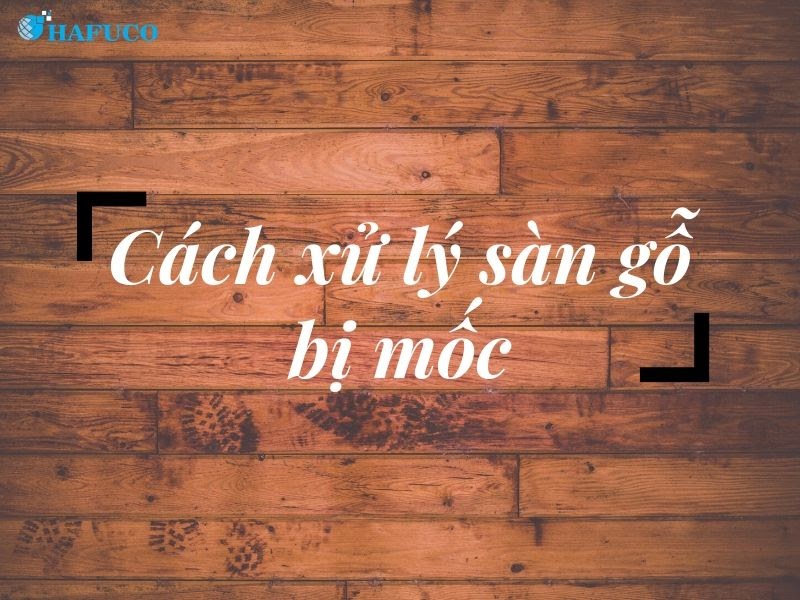 Xử lý sàn gỗ bị mốc