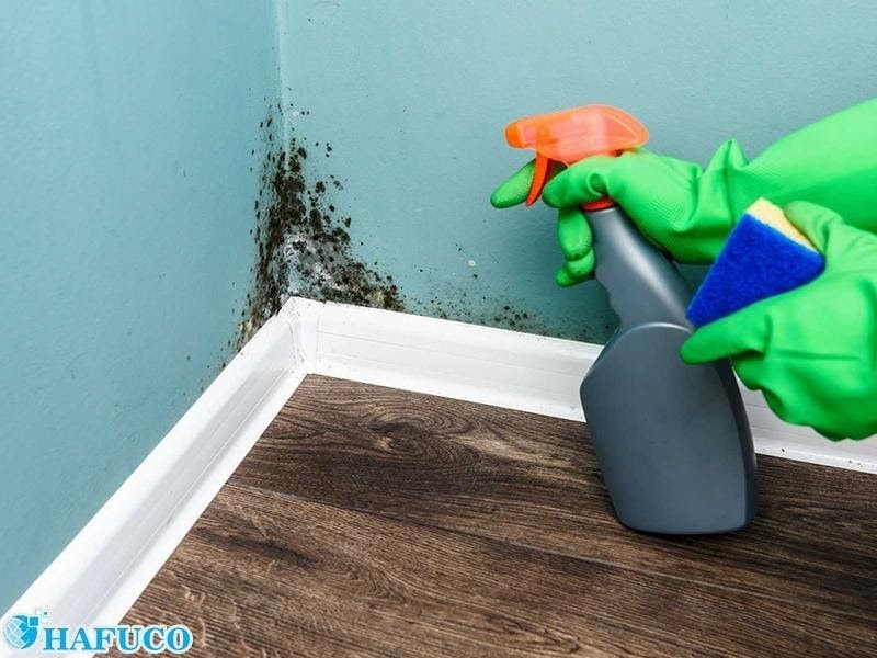 Cách làm sạch tường nhà bị nấm mốc