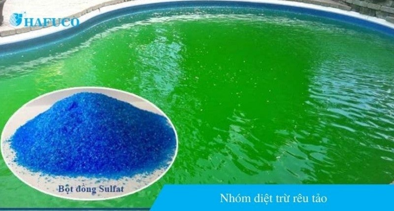 Nhóm hóa chất diệt trừ rêu hồ bơi