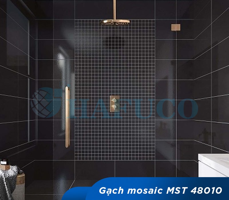 Ứng dụng gạch mosaic MST48010