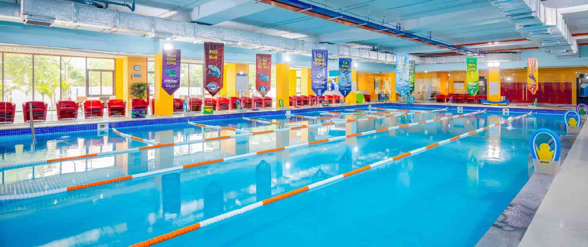 Xây dựng bể bơi trường học