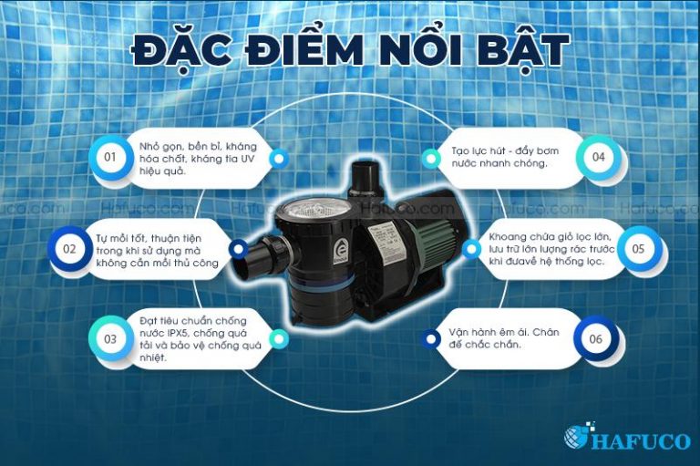 Hafuco bàn giao công trình lắp đặt thiết bị bể bơi tại Đà Nẵng