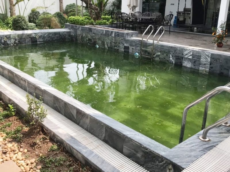 Hafuco bàn giao công trình vệ sinh bể bơi tại Vĩnh Long