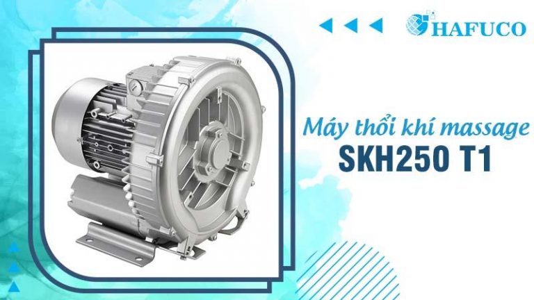Hafuco bàn giao công trình lắp đặt thiết bị bể bơi tại Hải Phòng