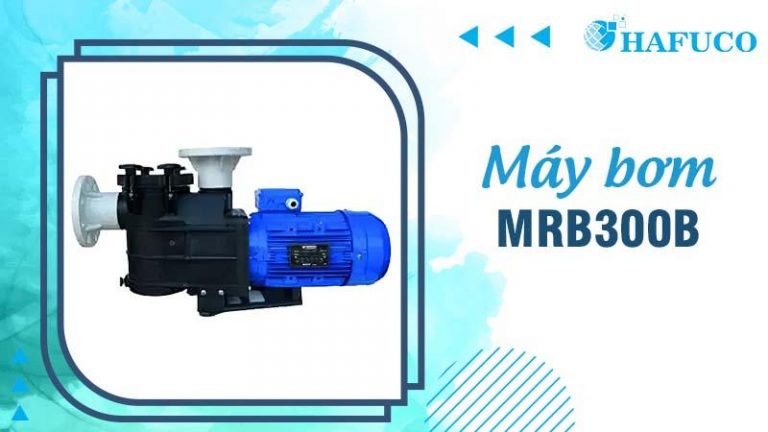 Hafuco bàn giao công trình thi công bể bơi biệt thự tại Quảng Ninh