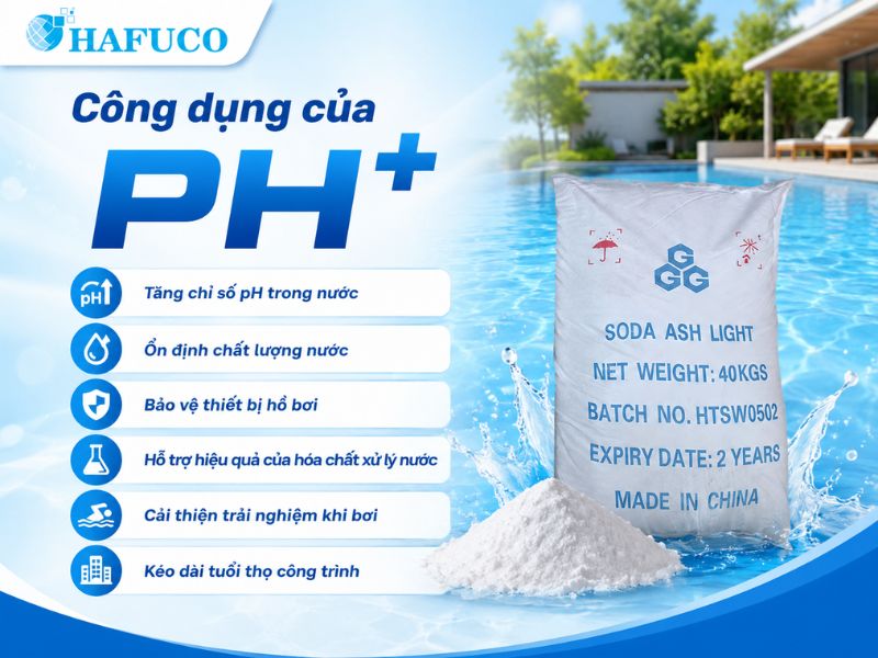 Hóa chất pH+ 