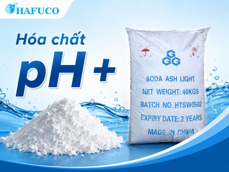 Hóa chất pH+ 